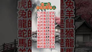 【這一生 誰是你的貴人】#生肖  #運勢  #玄學 #風水