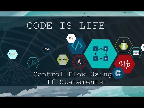Controlling Program Flow Using If Statement in Python - 60 Seconds to Code