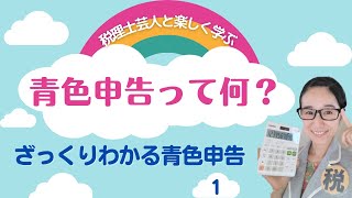 青色申告って？【ざっくりわかる青色申告】副業・フリーランスの確定申告を税理士が簡単に解説