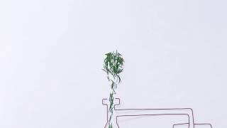 【茶樹莊園】茶樹海鹽超濃縮洗碗精潔淨力實測