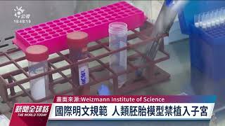無需精卵用人體幹細胞製胚胎？英美研究引道德爭議｜20230628 公視新聞全球話