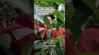 Trump’s tariff threat leaves Brazilian coffee producers uncertain for the future.