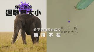 抗敏淨化論 - 過敏原篇「過敏原一網打盡」