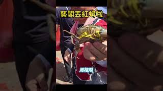北港藝閣居然丟紅蟳啦！ 北港朝天宮天上聖母遶境 農曆三月十九 二十日 #北港小過年 #北港迎媽祖 #北港朝天宮 #北港媽祖 #北港遶境 #國家指定重要民俗 #真人藝閣
