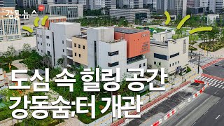 (현장뉴스) 서울 도심에 ‘이런 곳’이 생겼다고요? 강동숨터 방문기