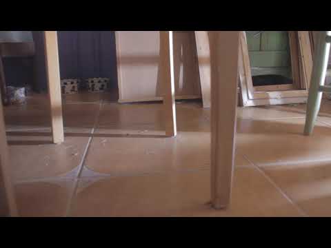 footage from camera on 3d printed remote head