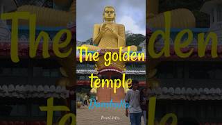 #dambulla #goldentemple 🙏☸️ #travellovers 🤍 #posonpoya #srilanka 🇱🇰