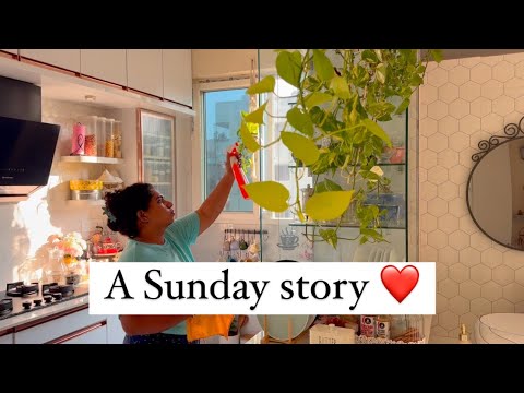 Well spent Sunday || morning to afternoon || cleaning and resting || grocery shopping 🛒 #diml vlogs