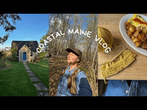 Maine is the cutest !! 🌊🦞⚓️ (part 1) knitting, antiquing, hiking, reading, and so much brunch