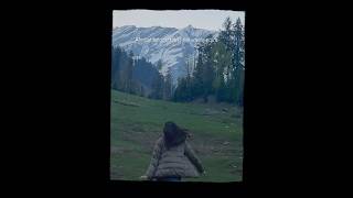 This is it #fyp #trending shorts #mountainsurvival