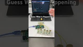 Biomedical Instrumentation Innovation: Having Fun Testing the Load Sensors of our Smart Wheelchair!!