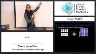 2.11 - fMRI