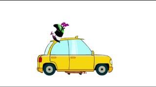 FLASH Animation REEL