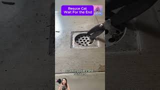 Rescue cat - wait for the end #catrescue #cat #rescuecat #kitten #animalrescue
