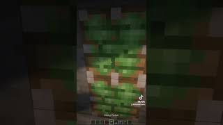 Don’t build doors like this… #minecraft #buildhacks #minecraftguide #minecraftbuilding