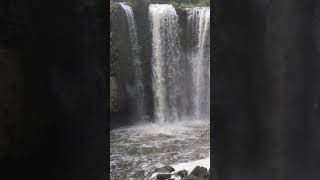 印尼萬隆景點 taman hutan Raya 2018年末大競走隨拍-2