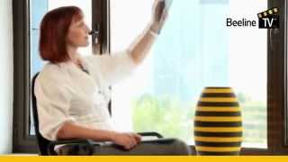 Beeline | Beeline TV – Корпоративное телевидение Beeline в Казахстане