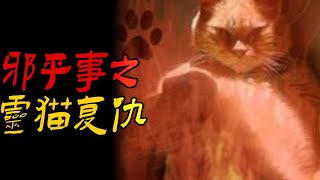 邪乎事之灵猫复仇|鬼故事|恐怖故事|解压故事|灵异#都市傳說#靈異事件#佛牌#泰国#恐怖故事#亲身经历#助眠#睡前故事#西安#古墓#懸疑故事#香港鬼故#horror#ghost#podcast