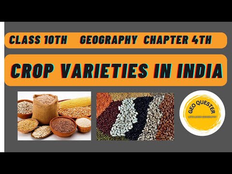 CROP VARIETIES IN INDIA- AGRICULTURE,  Class 10th Chapter 4, #majorcrops#agriculture
