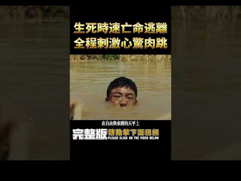 2024韓國最新電影，生死時速追击，全程緊張刺激！#shorts #韩国电影