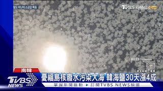 海洋受污染? 日本福島核廢水將排太平洋 韓海鹽先漲40%｜TVBS新聞 @TVBSNEWS01