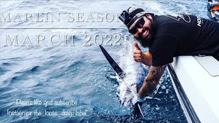 Bermagui marlin 2022