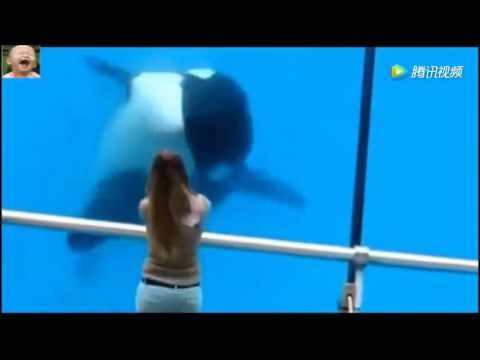 厲害哦～· 鯨魚和美女的互動 ..
