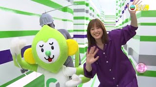 本田翼又拍新廣告 自嘲跑姿慘不忍睹
