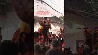 solah barongan laras budoyo #shorts #javanica
