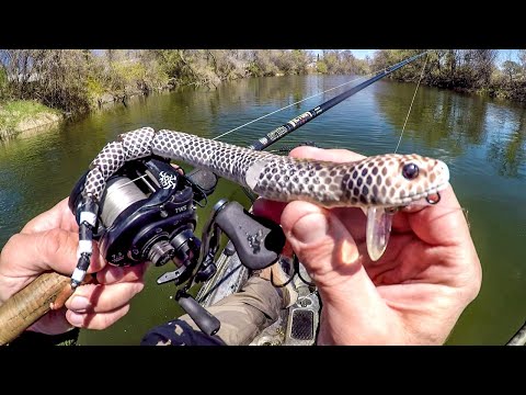 Fishing A Snake Lure For River MONSTERS!