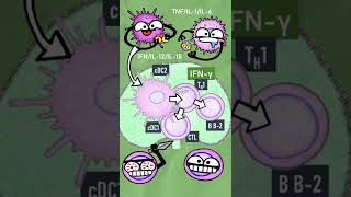 Respuesta con TH1 | En un minuto