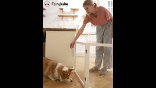 #doggate#foldable#petsafety 🐶🚪 Upgrade Your Pet's Safety with the FairyBaby Clear Foldable Dog Gate!