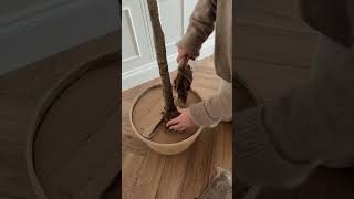 Potting a faux olive tree 🌳 #olivetree #interiordecor