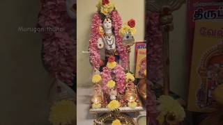 இன்று தேய்பிறைசஷ்டி முருகன் வழிபாடு#muruganthunai #short #velupoojai#velmaral #trending #shortsfeed