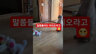 울집똑똑한 꼭수니 아프지말고 행복하게살자