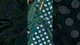 "CPU Track Broken? Repair Missing Line on Motherboard PCB" #worldmobilerepairingcenter #pcaptouch