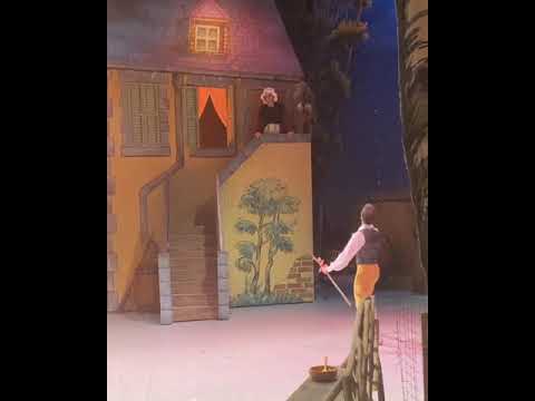 バレエは演技も大事　【バレエ】【ballet】