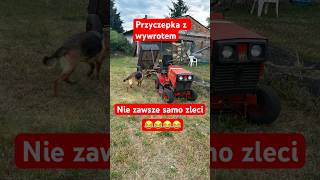 Przyczepka z wywrotem do traktorka kosiarki. Ja nie dam rady?😂 #oporowocałodobowo #kosiarka #farm