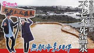 日本學問大前進青森蘋果溫泉‧找奈良美智~蘋果溫泉+不老不死溫泉+古川市場篇