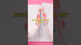 🧠 WHAT’S INSIDE ME? BODY LEARNING FUN! #shorts #kids