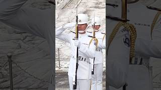 禮兵敬禮 #海軍儀隊 #中正紀念堂 #禮兵交接 2025.07.16