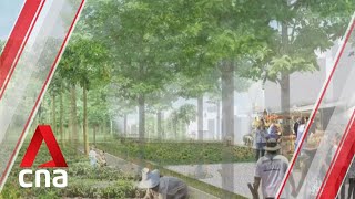 Re-imagining Paya Lebar Air Base: Winning entries of competition to design town of the future