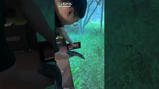 The immersive LED display system