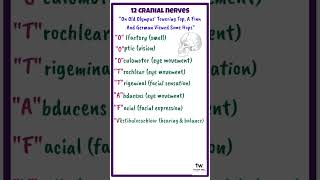 Remember Cranial nerves easily! #shorts #dentistry