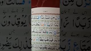 #allah #islamicvideo #quran #islam #islamicshorts #islamic #quran_kareem #deeni #dua
