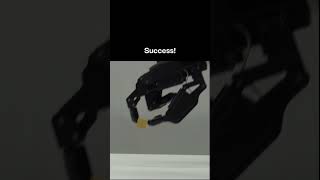 What can a $2000 robot hand do?