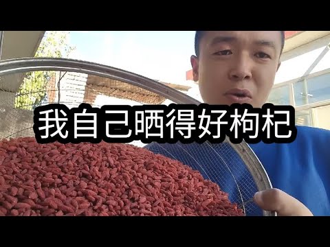 这样的枸杞才叫好枸杞，这个颜色也太正点了吧？猪肝红为主 #枸杞