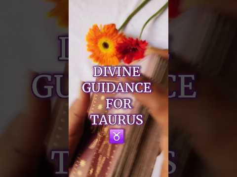 ♉️Divine Guidance For Tarot Sign || #collectivereading #timelesstarot #tarotcards #tarot