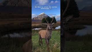 Visit Glencoe l Scotland