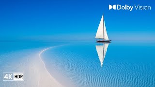 Amazing Wildlife in Stunning 4K HDR 120 FPS Video - Dolby Vision